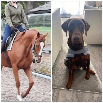 Supporting the whole family!