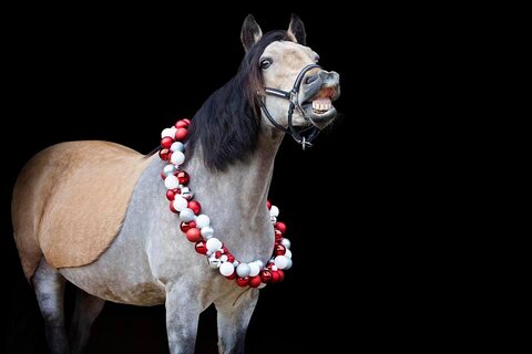 All smiles from Glory