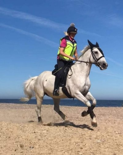 Meet Milly! Mobility and comfort bespoke replaced vet products.